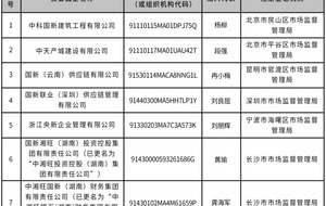 中国国新公布12家“假冒国企”信息-叭楼楼市分享网